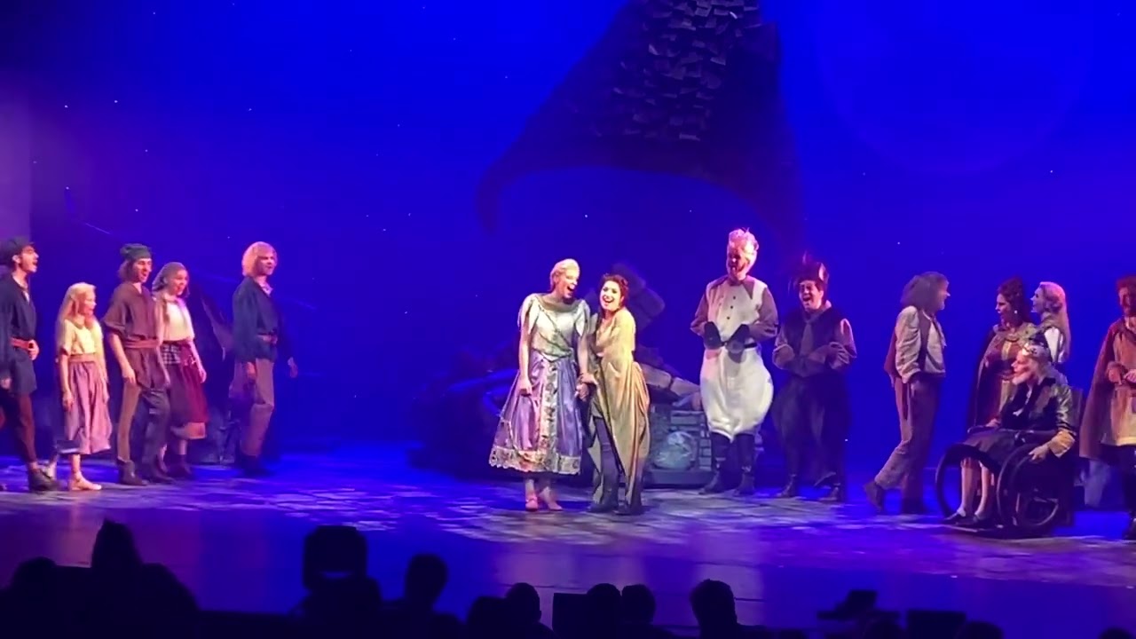 Rapunzel de musical (wie zijt gy) en (het einde) stadsschouwburg Antwerpen 01/04/23
