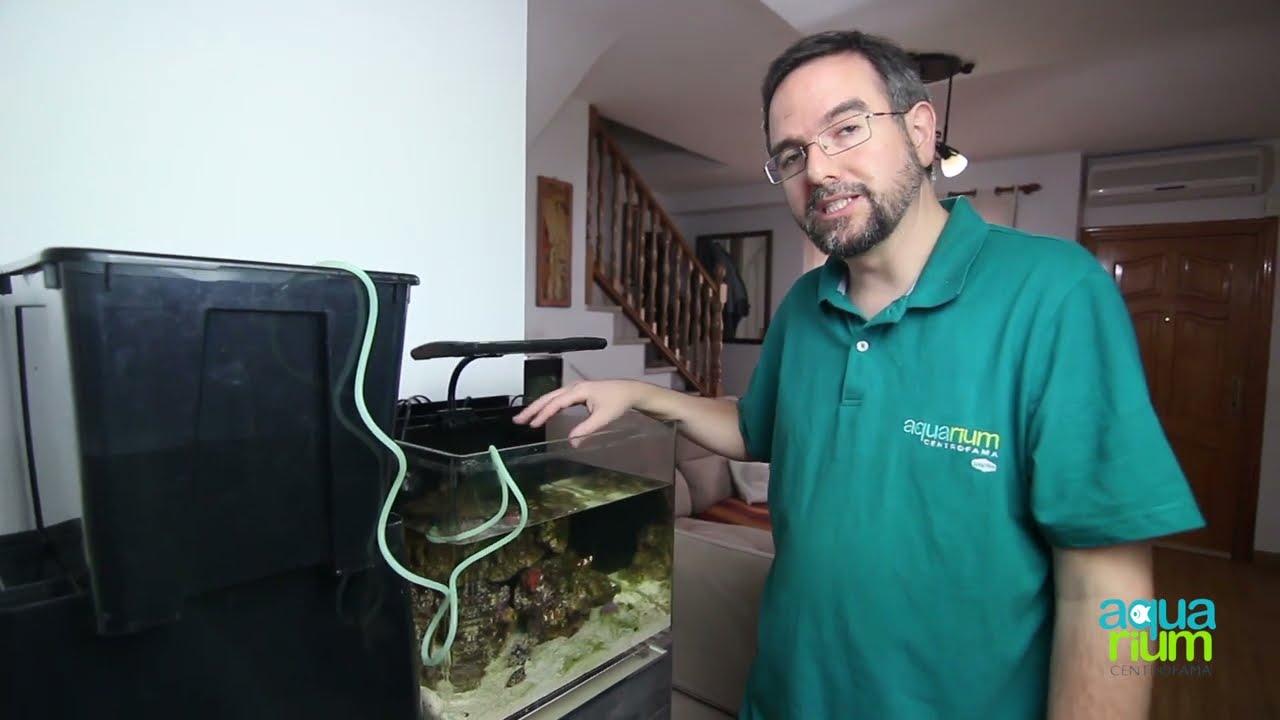 Cómo aclimatar corales y peces marinos (Aquarium Centrofama) Acuario WO A40- II Parte