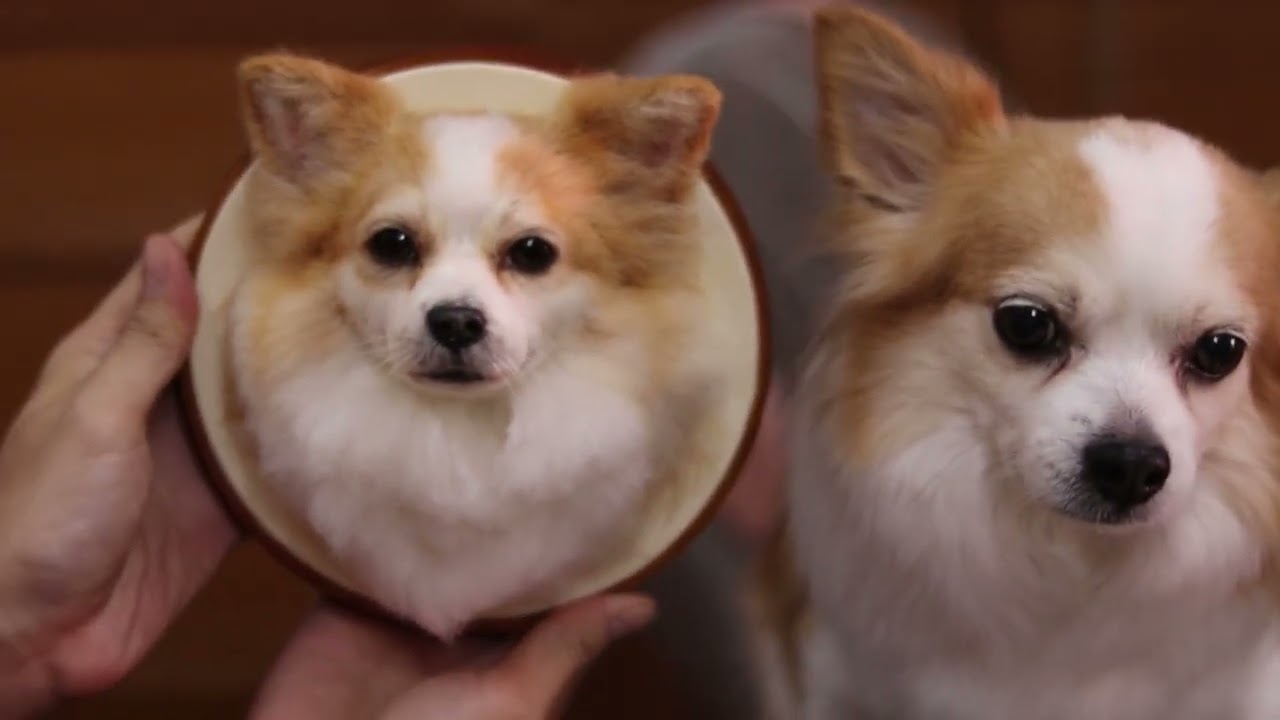 #Vino #น้องบีโน่ (Sculpture 42cm. + Portrait Dog)  - Needle felting