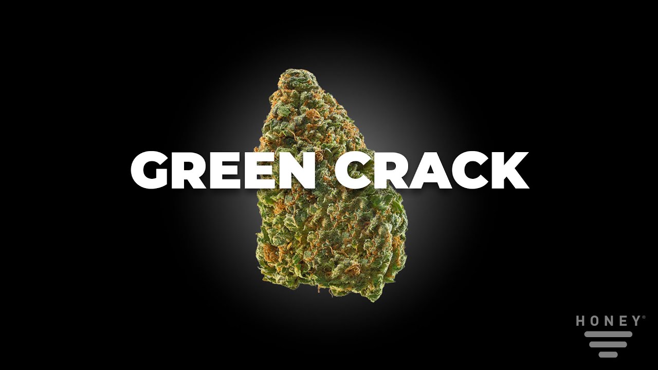 Green Crack Strain by HONEY