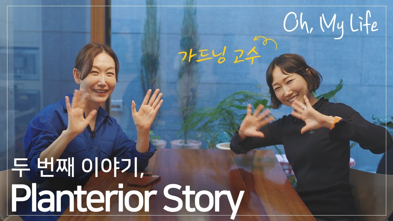 [평창동 라이프] 실속 플랜테리어와 겨울 정원 꾸미기 1편 _  [ EBS 건축탐구 집 ] 비밀정원편에 나온 취향좋은 주인이 이웃이 될 줄이야 !!