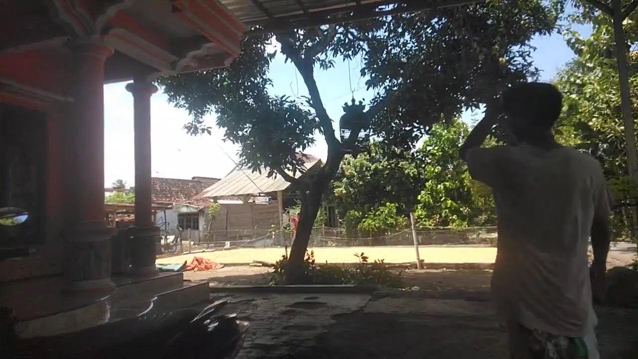 DANGDUT ORGEN TUNGGAL MANUAL TAK TUNG KOLEKSI LAGU LAWAS ORIGINAL TERLARIS