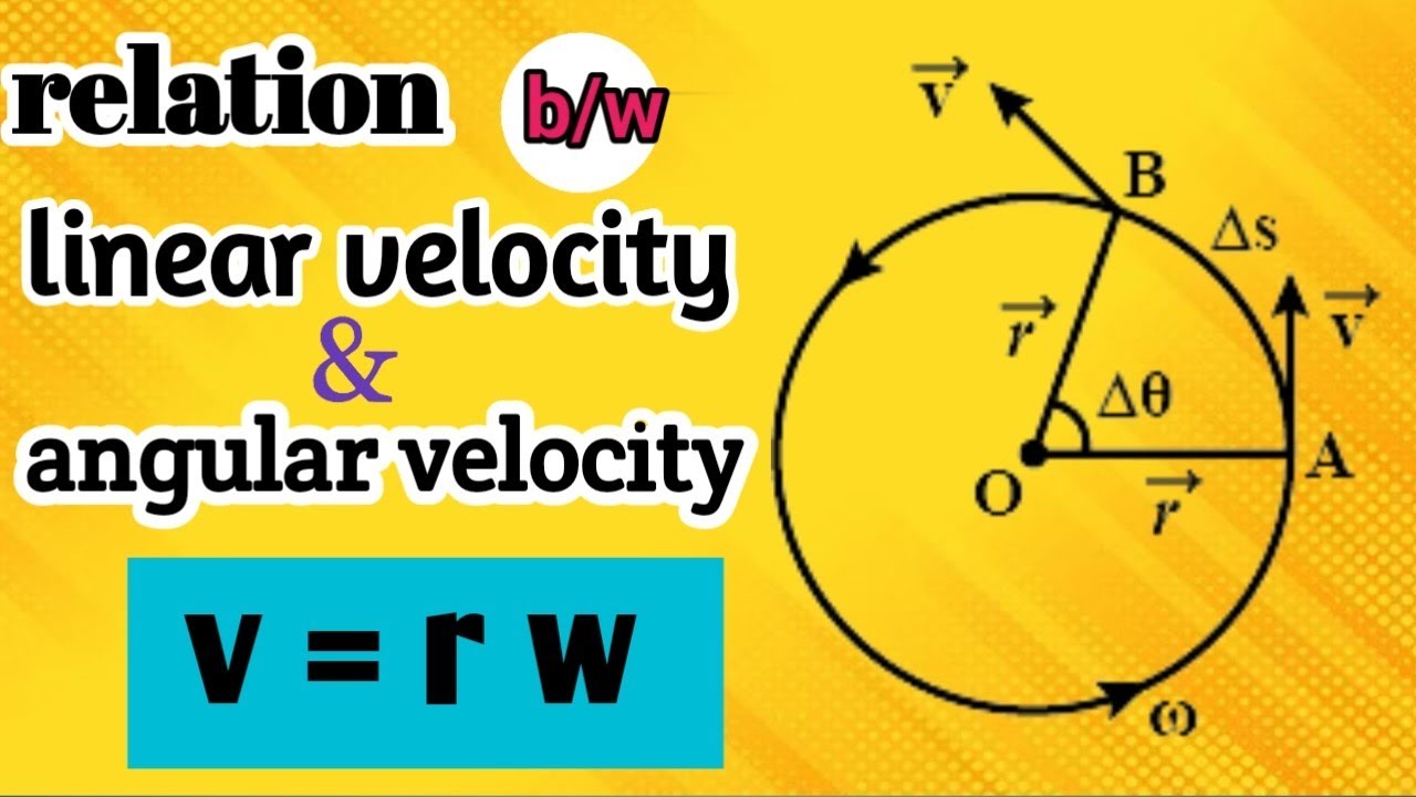 angular velocity | derive v = r w | relation between linear velocity and angular velocity | class 11
