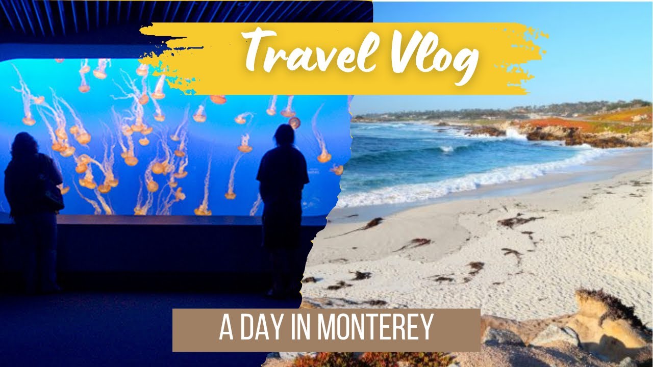 A Day in Monterey | California | Travel Vlogs | USA | Aquarium + Seashore | 🐠🐚
