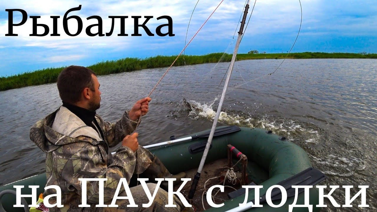 ПАУКИ ТРЕЩАЛИ ПО ШВАМ ОТ ЭТИХ САЗАНОВ! РЫБАЛКА НА ПАУК С ЛОДКИ ВОЗЛЕ СЕКРЕТНОГО МОСТА!