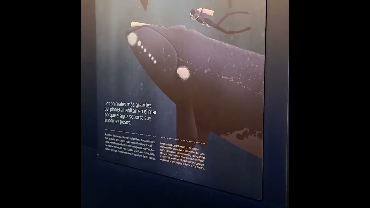 Retazos De Cultura: Aquarium Atlantis Madrid