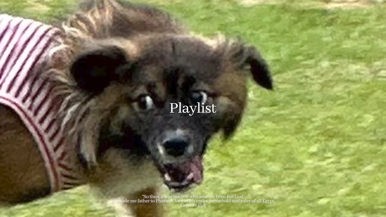 [CCM Playlist] 셀브한다고? 당장 달려가 ㅣ 수련회 ㅣ 신나는 찬양