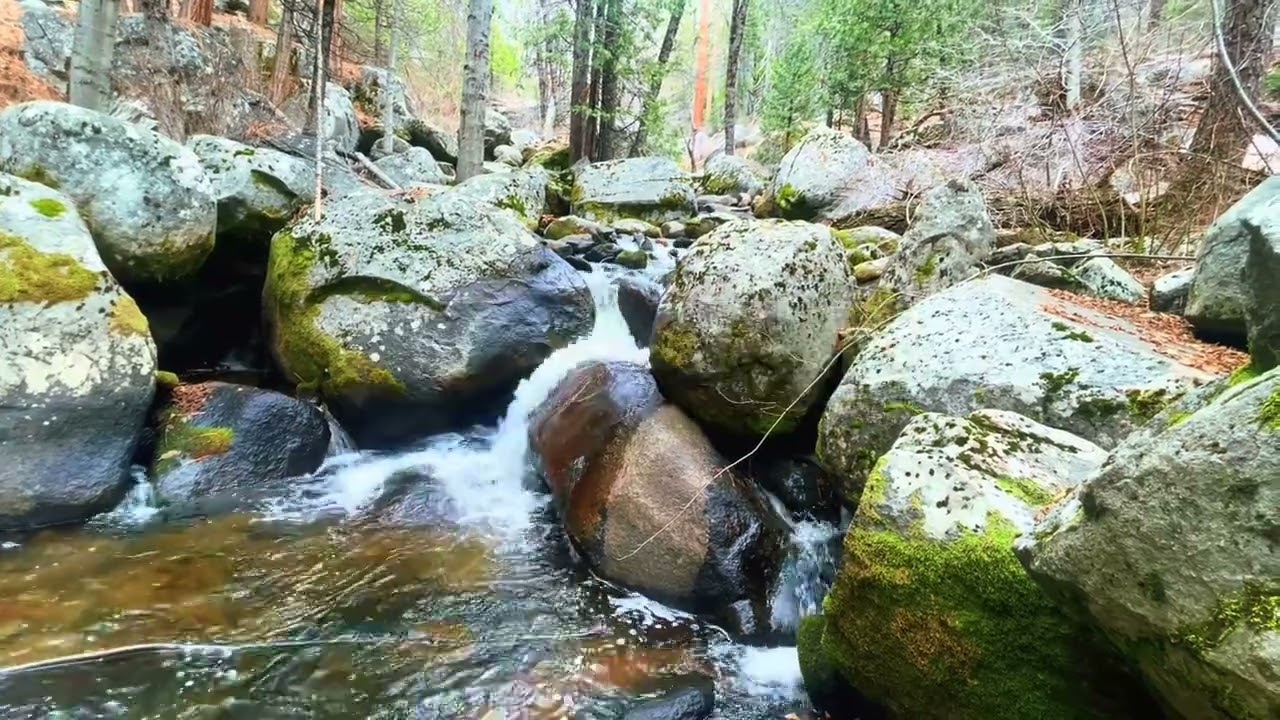 Affirmations for Calm | Positive Stress-Relief Affirmations