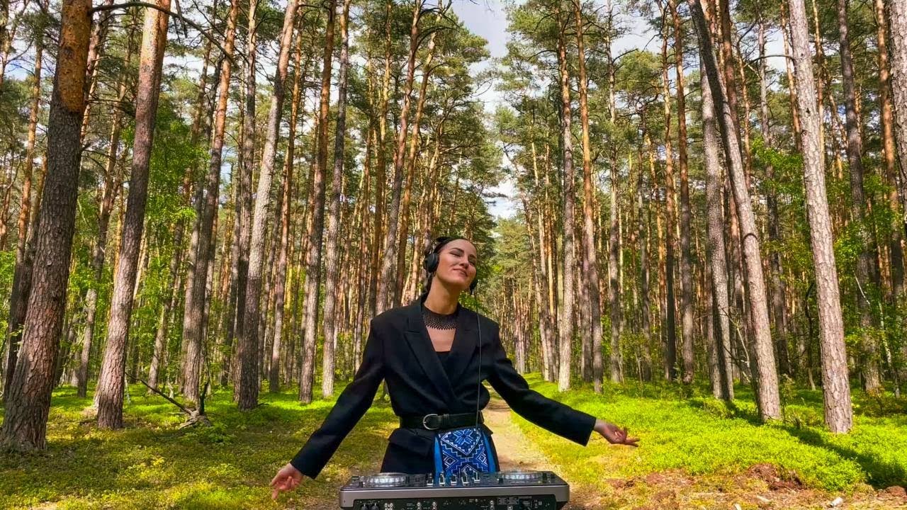 Progressive House & Melodic Techno Mix - Wild Forest Dj Mix