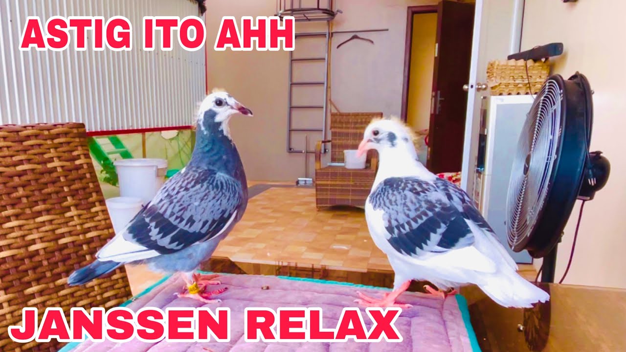 EP531 - MALA JANSSEN RELAX ANG GANDA NG MGA OFF COLOR NATEN