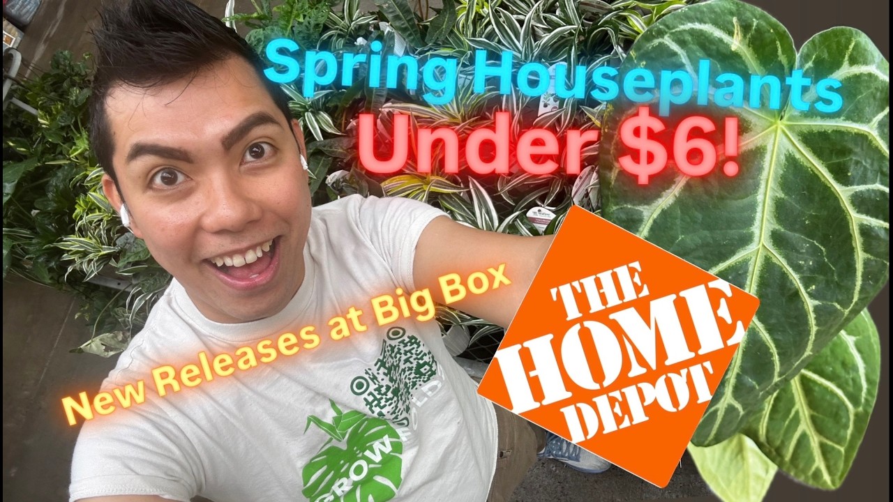 Spring 2026 Houseplants Under $6 Massive Price Cuts Great Deals at Home Depot Big Box Store Hoyas