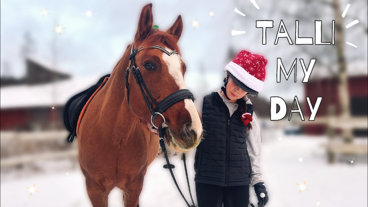 Talvinen talli my day!❄️