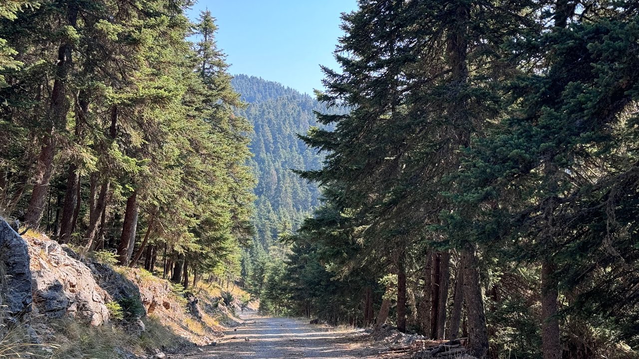 August 2024 morning eRide to Mainalo 4K/1080p🌲🌲🌲