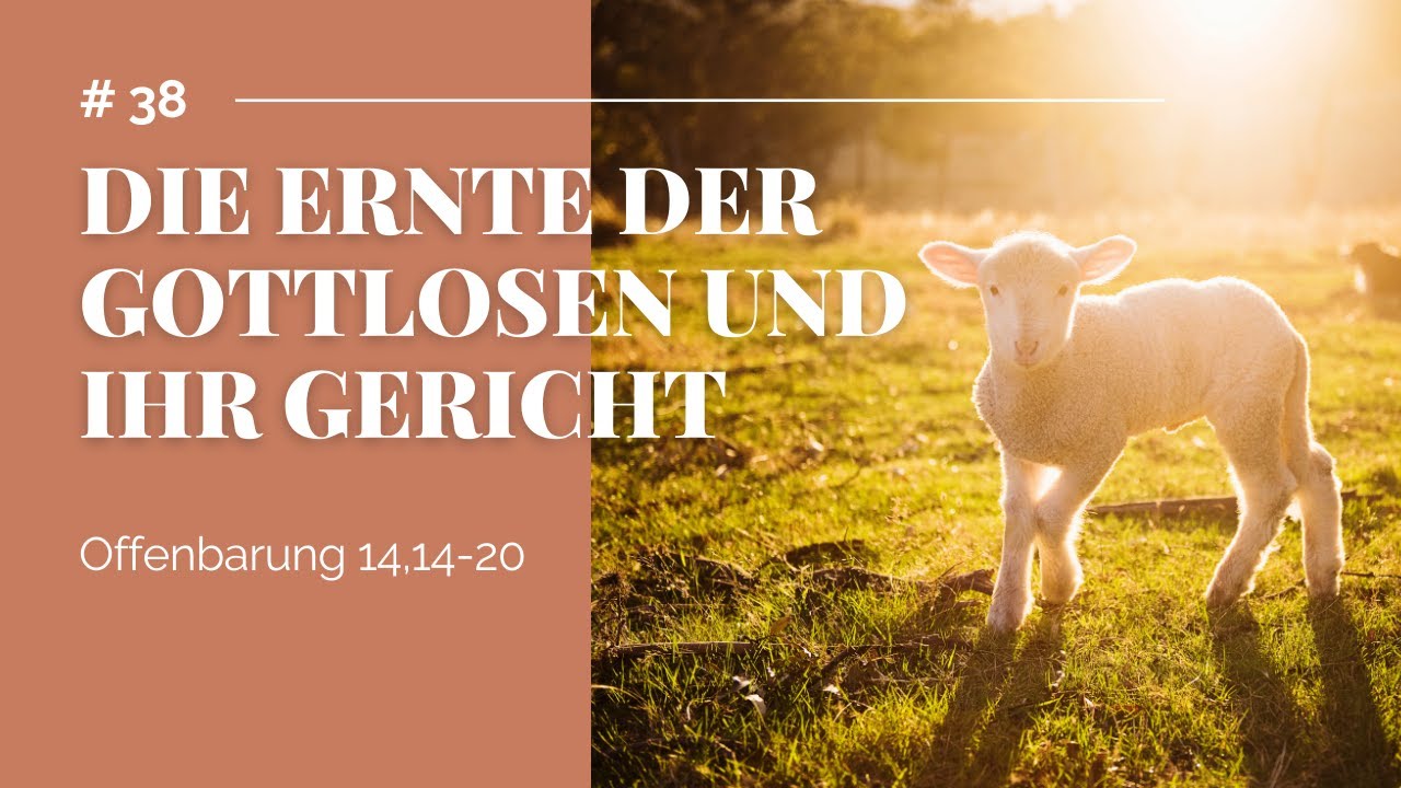 Die Ernte der Gottlosen und ihr Gericht (Offenbarung 14,14-20) | Bibelstunde