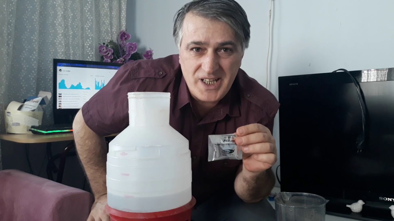 Güvercin kurt dökücü uygulamalı. Bildiğiniz doğruları unutun yanında yemi Vermeyi unutmayın