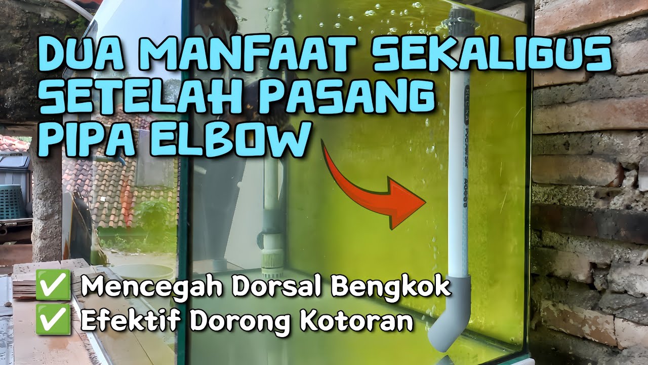 How to Overcome Dirt That Won't Get Sucked Up by the Pump - Install an Elbow Pipe Output (L-shape...