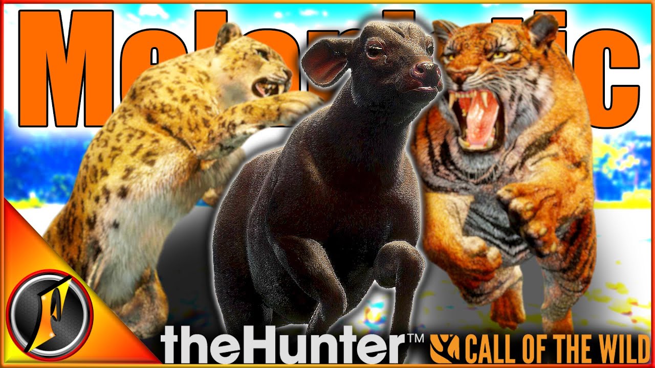 МЕЛАНИСТИЧНЫЙ мунтжак на охоте на тигра и снежного барса! | theHunter Зов дикой природы