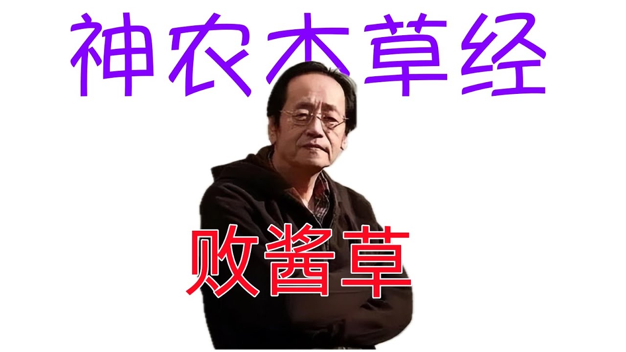 倪海廈《神農本草經》細分版： 181 敗醬、敗醬草、鹿腸