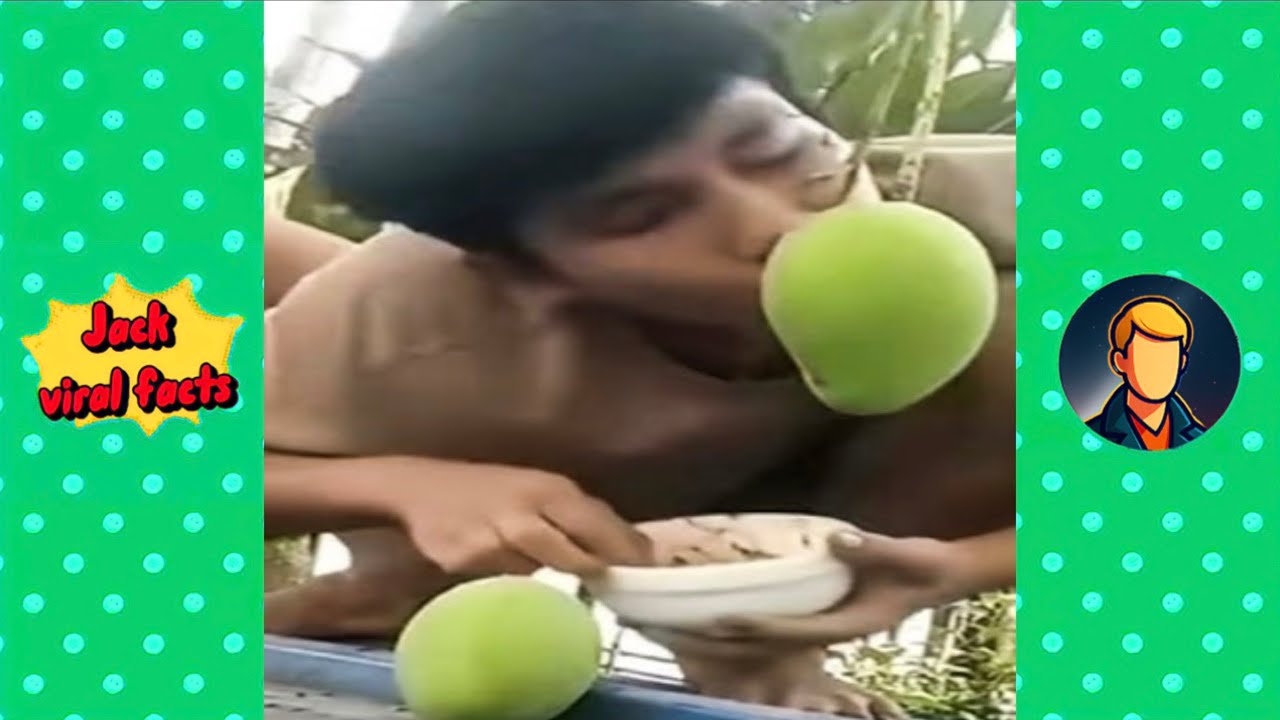 100 Funniest Videos on the Internet 😂 