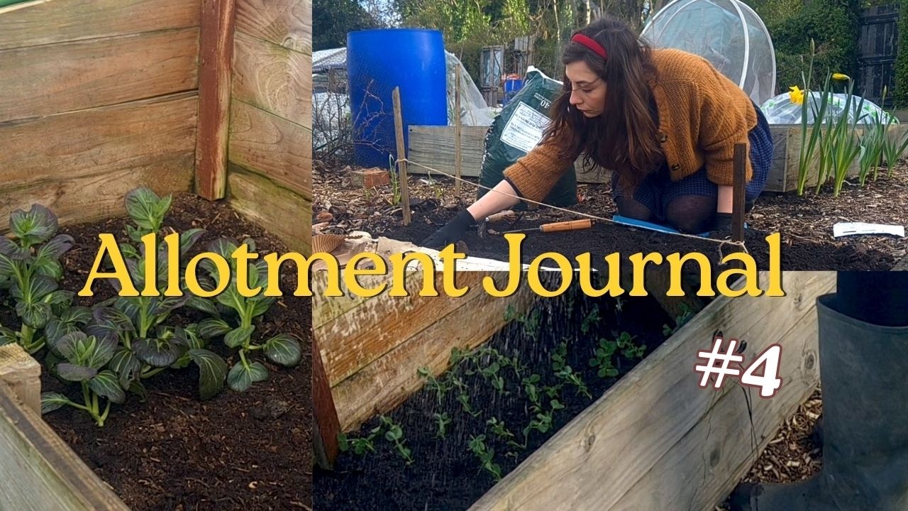 February Crops and Sowings | Allotment Garden | Ep. 4