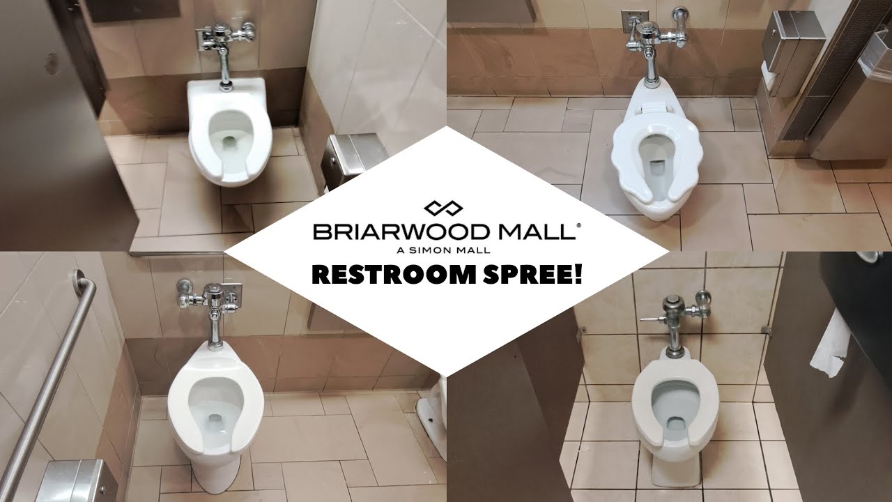 1216: Briarwood Mall: Restroom Spree!