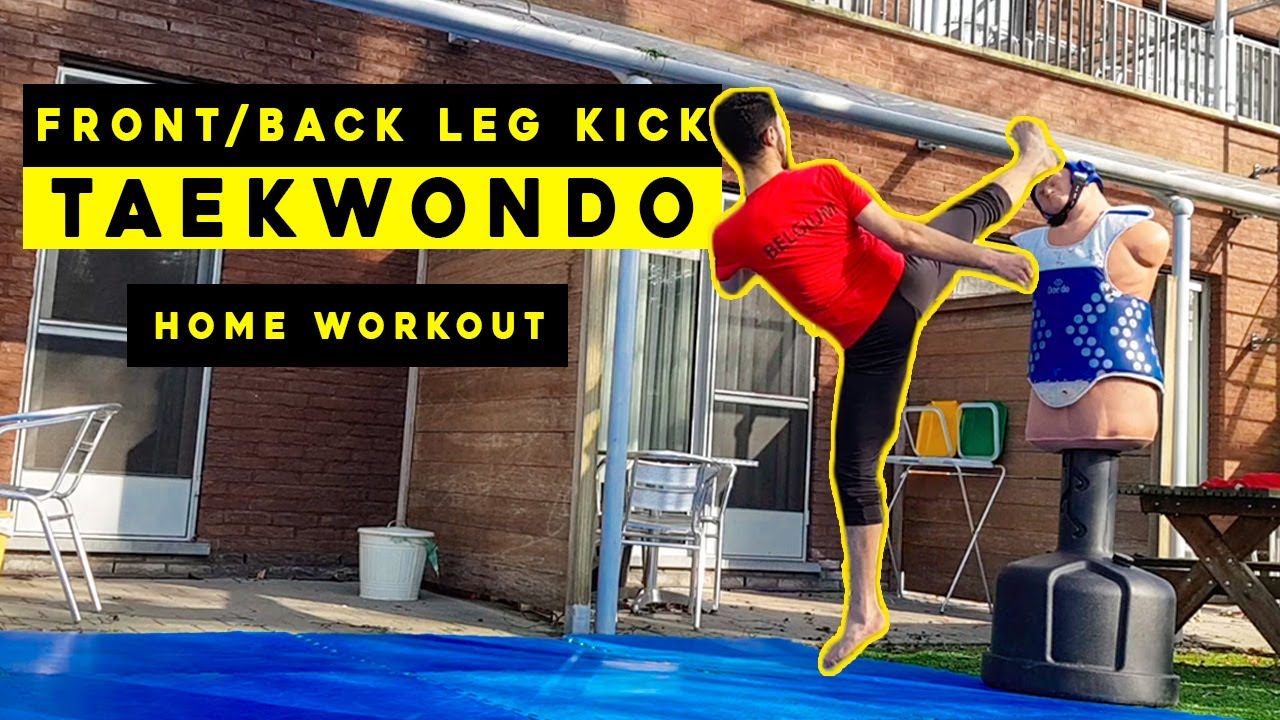 TUTORIAL : Taekwondo Front and Back Leg Kicks on BOB