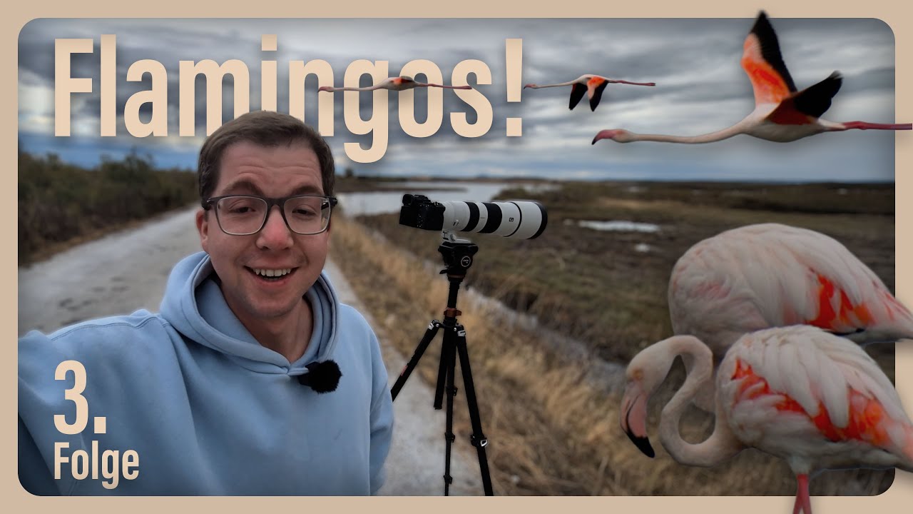 Flamingos in Griechenland entdeckt!🦩| Folge 3 🇬🇷 | Naturbegeisterung Leben