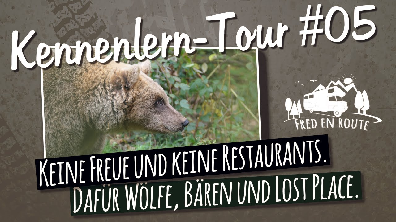 Keine Freude und keine Restaurants. dafür Wölfe, Bären und Lost Place. Kennenlern-Tour #05