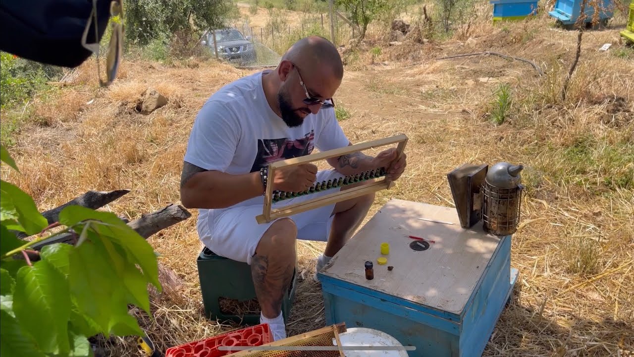 SI TE NXJERRIM QUMESHT BLETE-HOW TO EXTRACT BEE MILK .🐝🐝🐝🍯🍯🍯01.06.2022