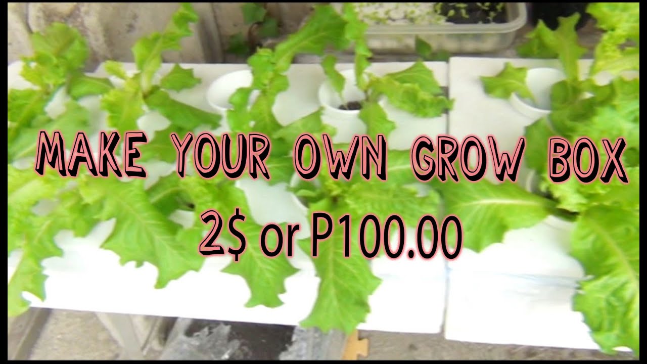 How to Make your own Grow Box for only 2$ or P100.00 Ep.#001