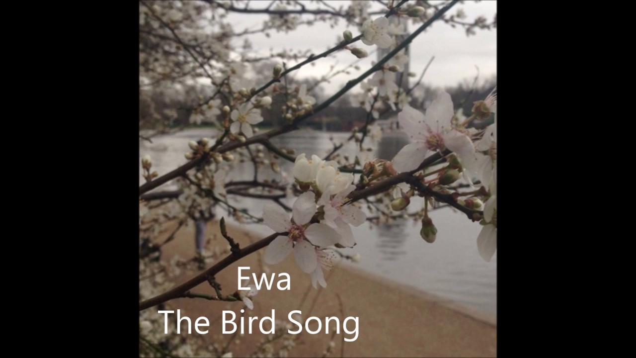 Ewa - The Bird Song