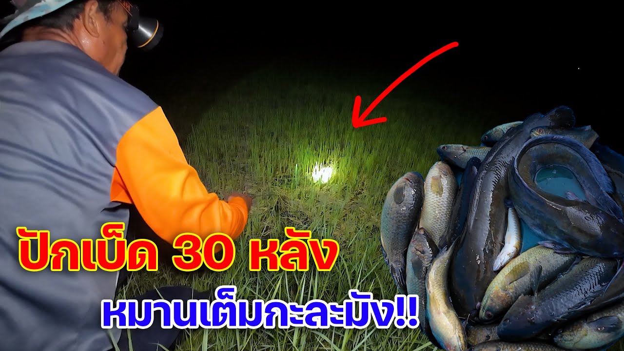 หมานเต็มกะละมัง!! ปักเบ็ด 30 หลังอยู่กลางทุ่งนา