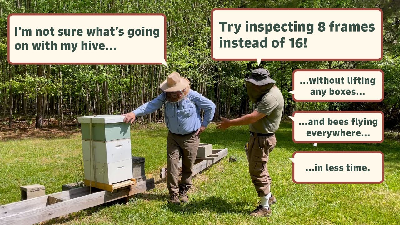 New Beekeeper? End The Confusion! Lift Fewer Boxes, Disrupt Fewer Bees, And Inspect Fewer Frames