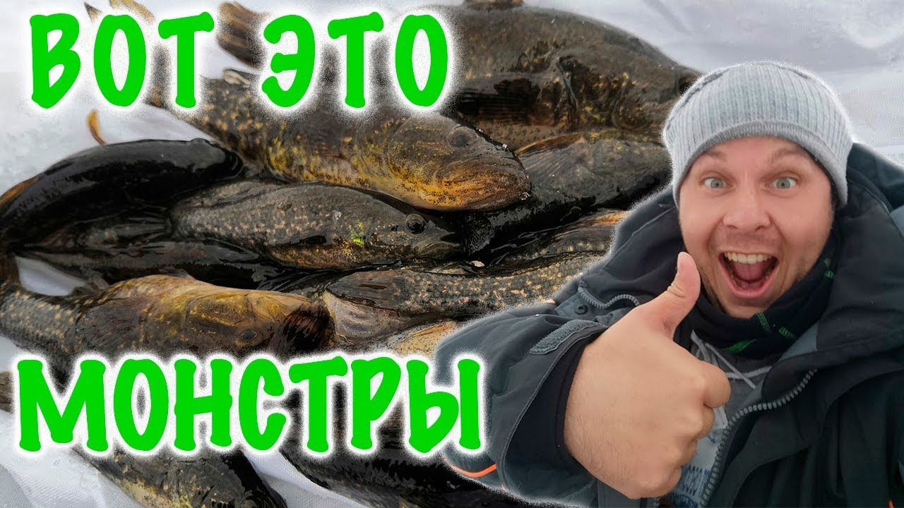 ВЫ ВИДЕЛИ СТОЛЬКО РЫБЫ? | Балансир | мормышка | опарыш | Ротан | первый лед | зимняя рыбалка 2019