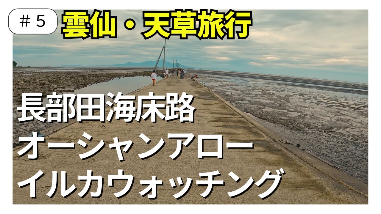オーシャンアローで島原→熊本⛴天草五橋とイルカウォッチング🐬
