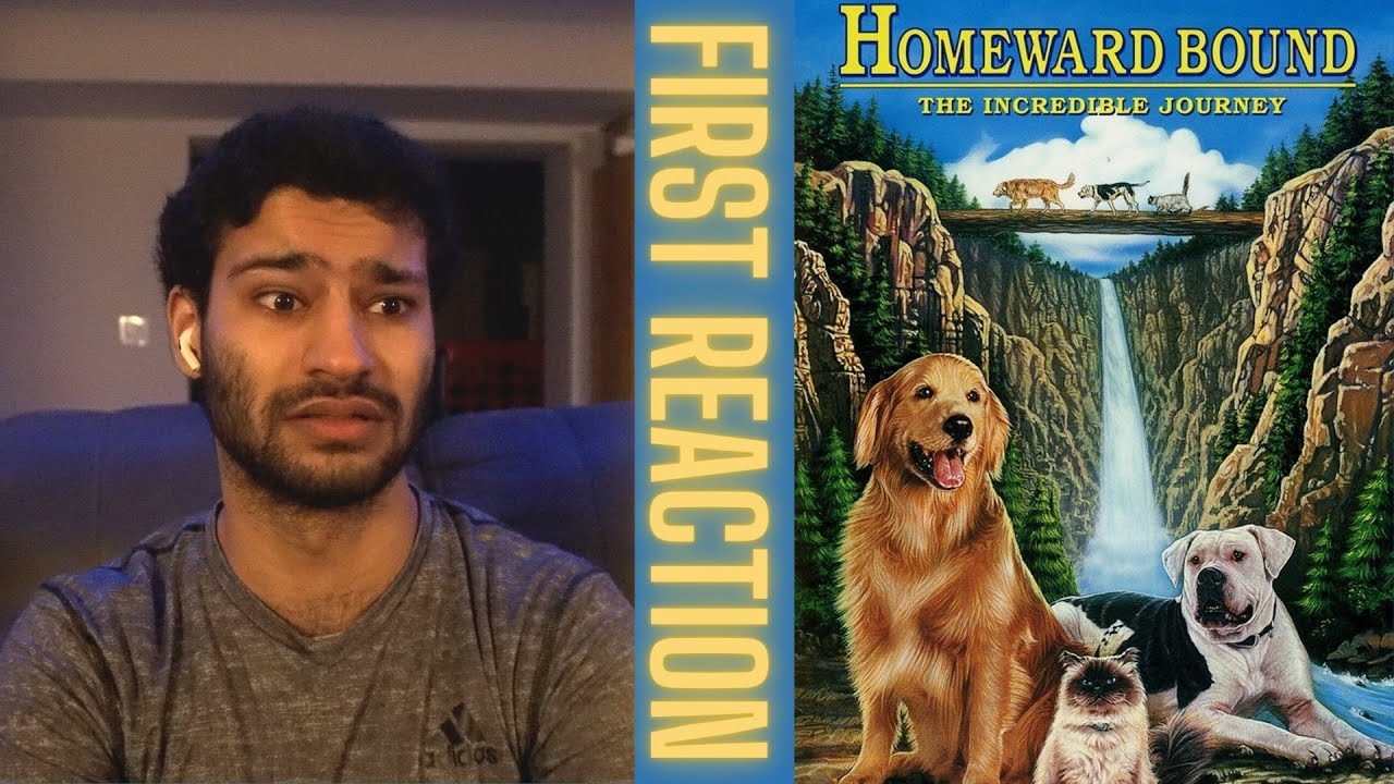 Watching Homeward Bound: The Incredible Journey (1993) FOR THE FIRST TIME!! || Movie Reaction!