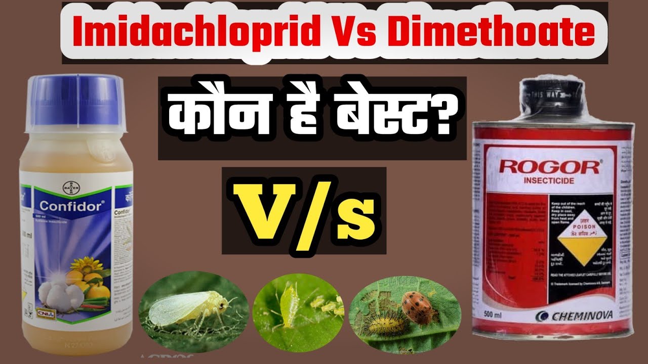 Rogor(Dimethoate)  Vs Confidor (Imidachloprid) Koun Hai Best? Kounsa Insecticide Hai Best?