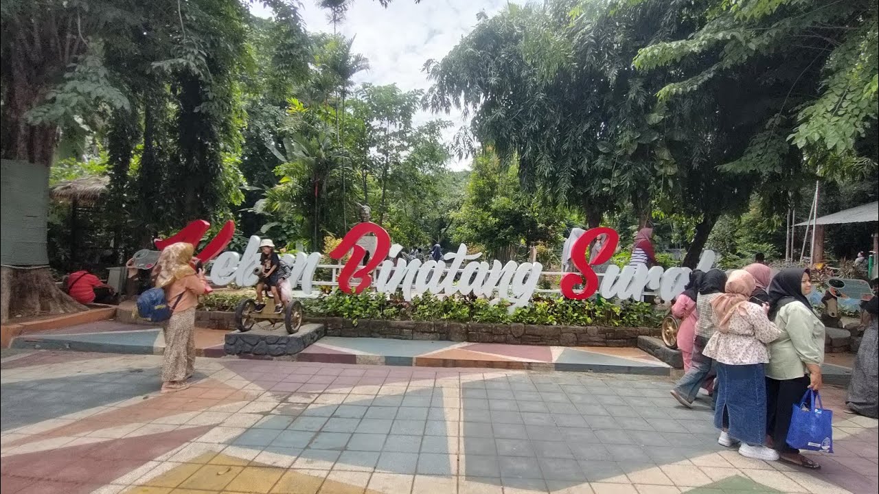 Kebun Binatang Surabaya terbaru awal tahun 2025