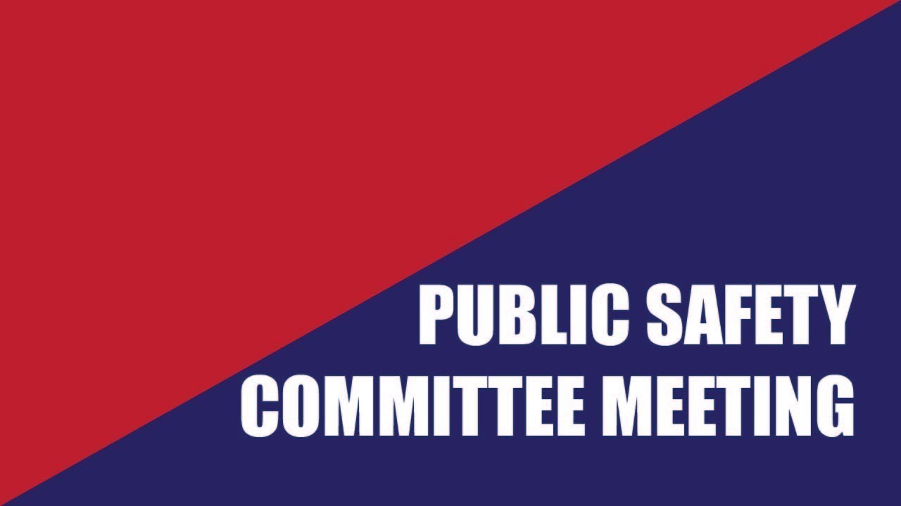 Public Safety Committee Virtual Meeting - March 10, 2026