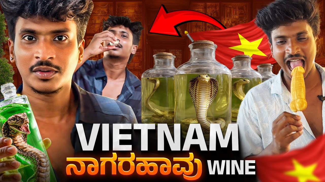 Vietnam 🇻🇳 Snake wine Exploring | ಈ ದೇಶದಲ್ಲಿ ಏನೆಲ್ಲಾ ತಿಂತಾರೆ ಗುರು 😱 