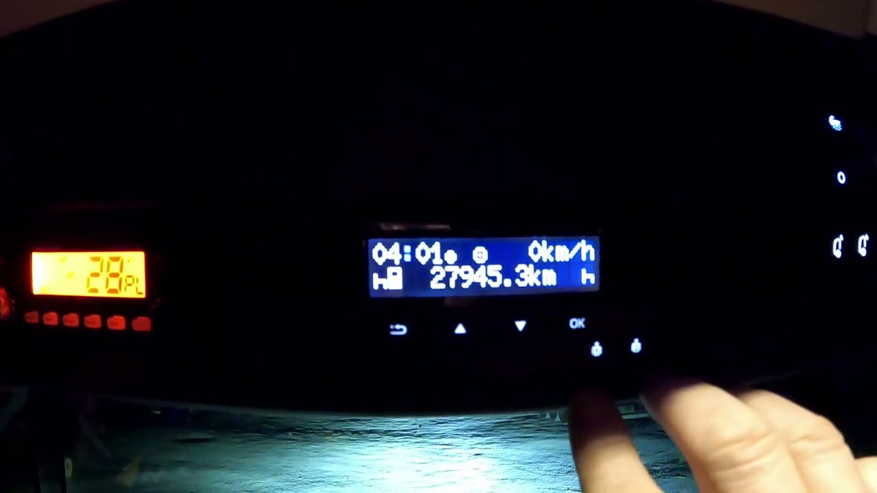 #71/6   Pitu... pitu... Borówki