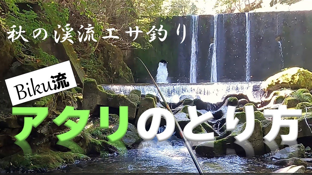 アタリのとり方【ミミズ】【秋の渓流エサ釣り】【禁漁前日】2022