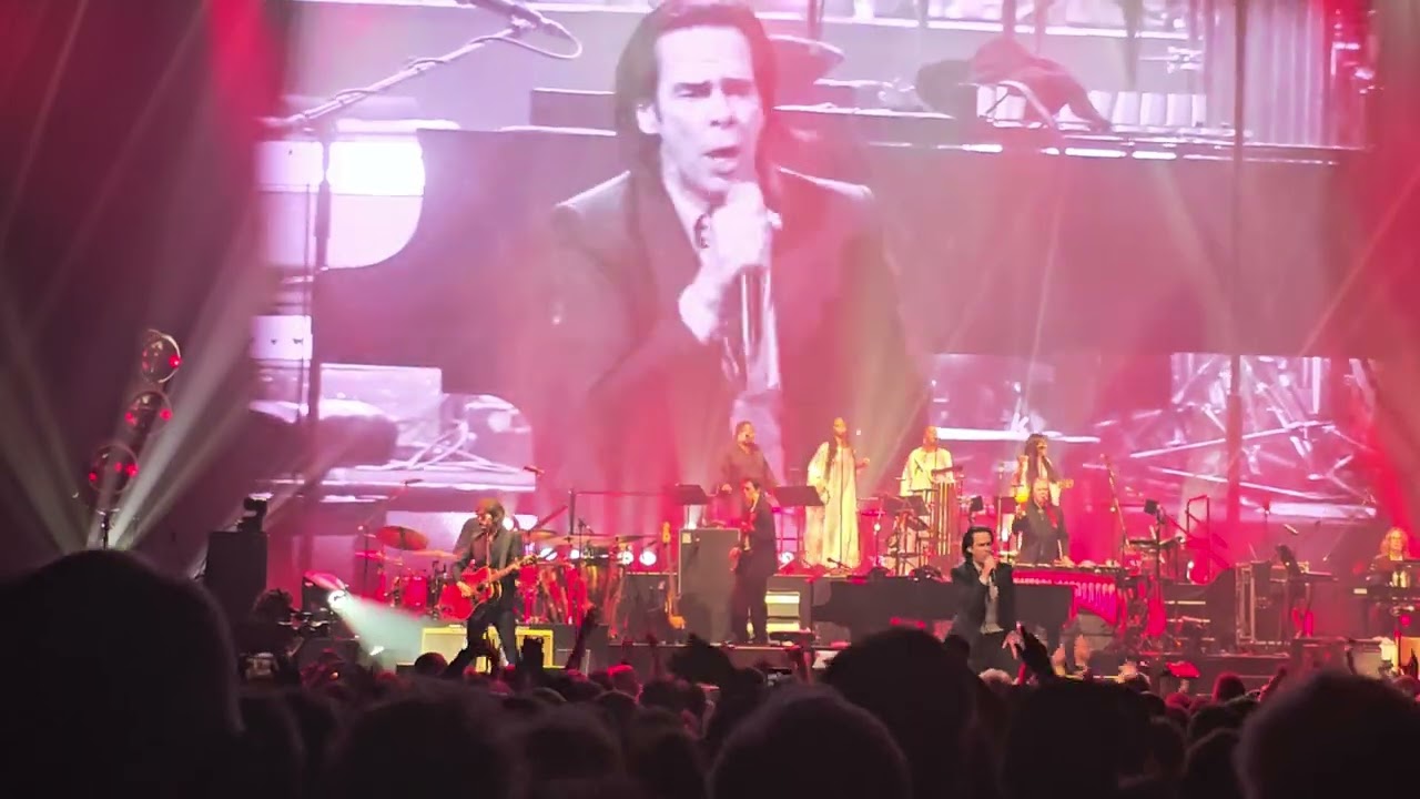Nick Cave - Papa won't leave you Henry - Antwerp 30.10.24