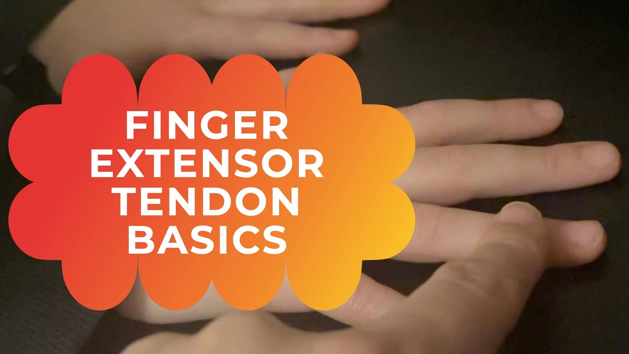 Finger extensor tendon basics - evaluate an extensor tendon injury