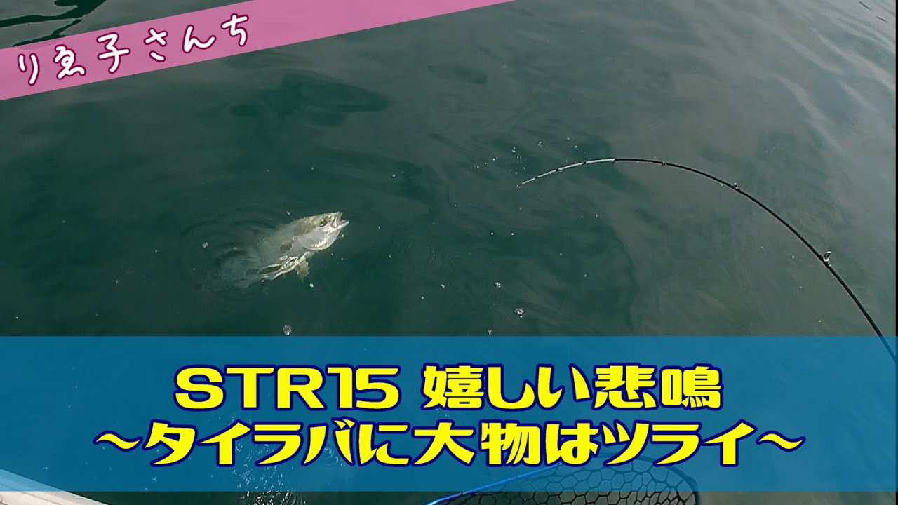 #028 STR15 タイラバに大物はツライ…嬉しい悲鳴