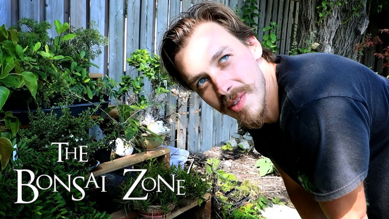Connor's Bonsai Bench Tour, The Bonsai Zone, Aug 2020
