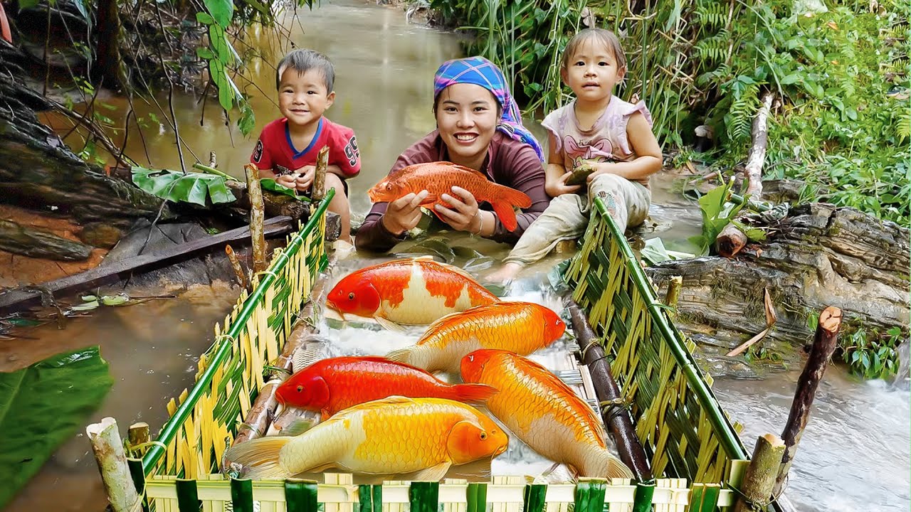 Giant Carp in Deep Rice Fields— Fishing on Freezing Winter Days of Chuc Duong Family | Village Life