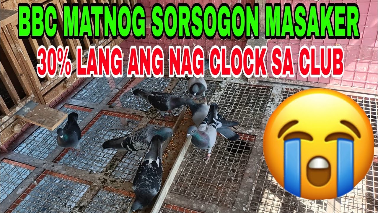 BBC MATNOG SORSOGON MASAKER / 30% LANG ANG NAG CLOCK SA CLUB