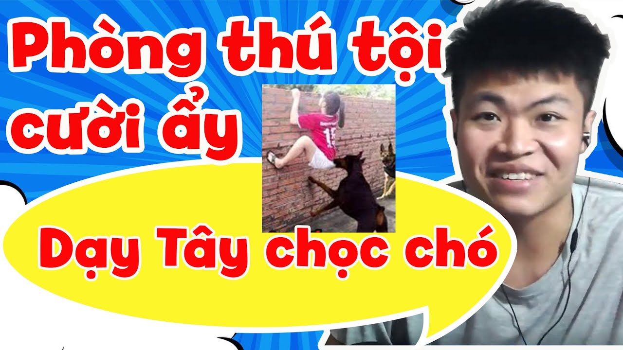 Dắt ông Tây đi chọc chó 😆 Cao thủ cạy két của bố thấy cả s.úng bên trong