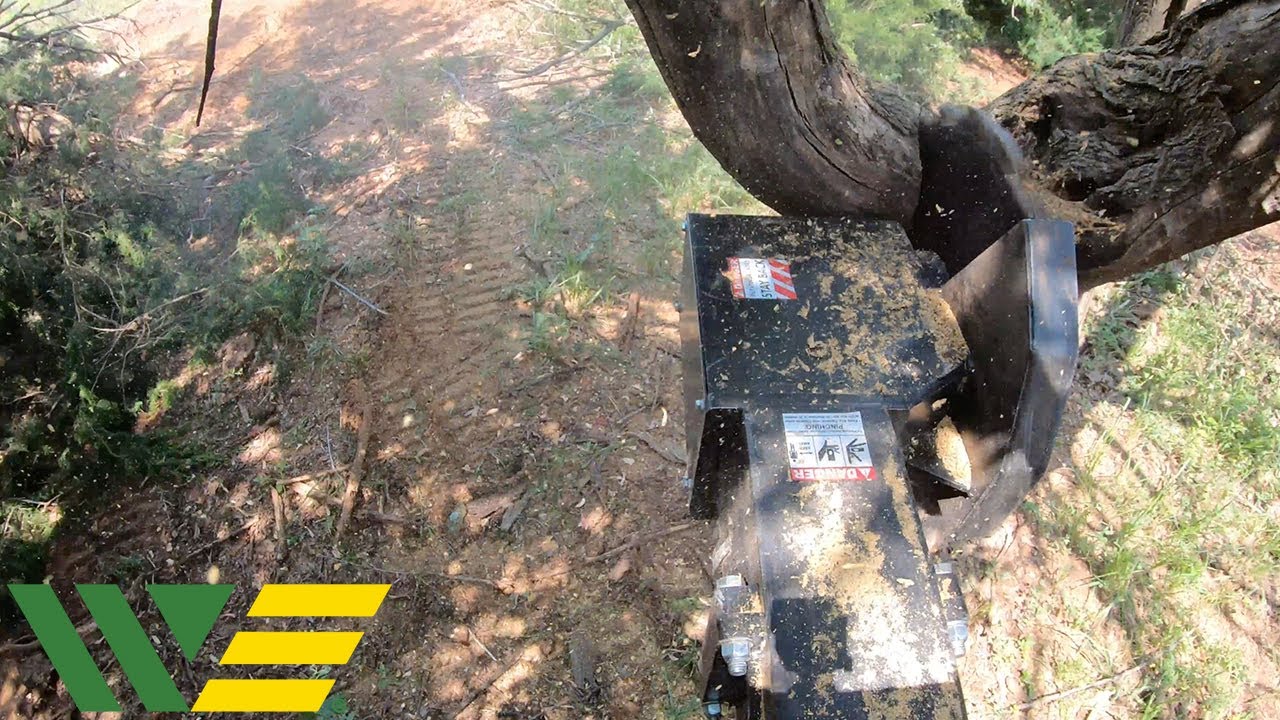 Best Skid Steer Tree Saw?  Vail X Series Review and Raw Demo